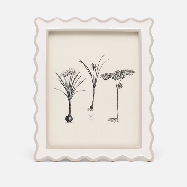 Pigeon & Poodle Keira Frame