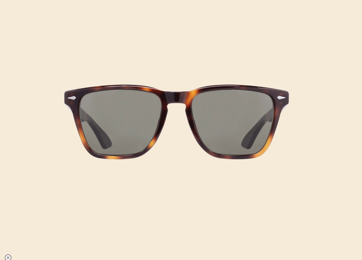 American Optical Hudson Tortoise