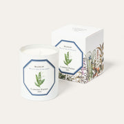 Carriere Freres Candle Lily of the Valley
