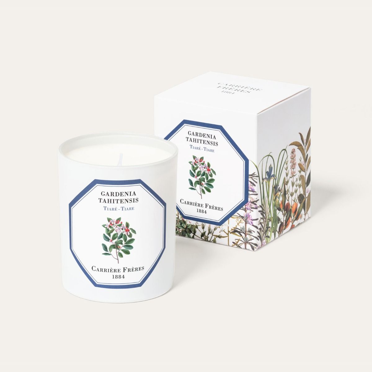 Carriere Freres Candle Tiare