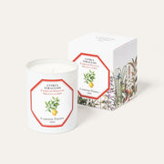 Carriere Freres Candle Siracusa Lemon