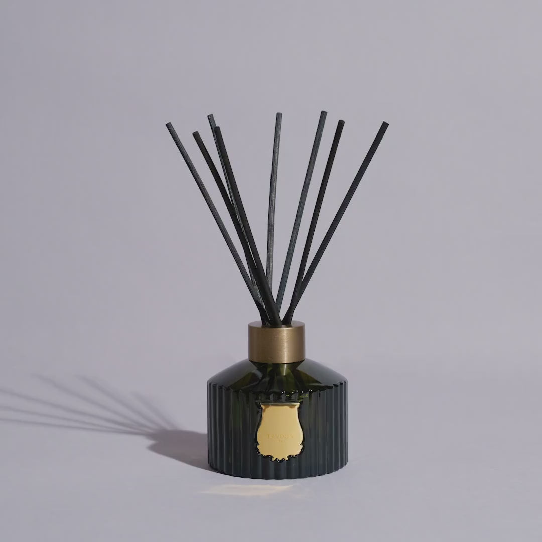 Load video: Trudon Le Glass Diffuser Ernesto (350ml)