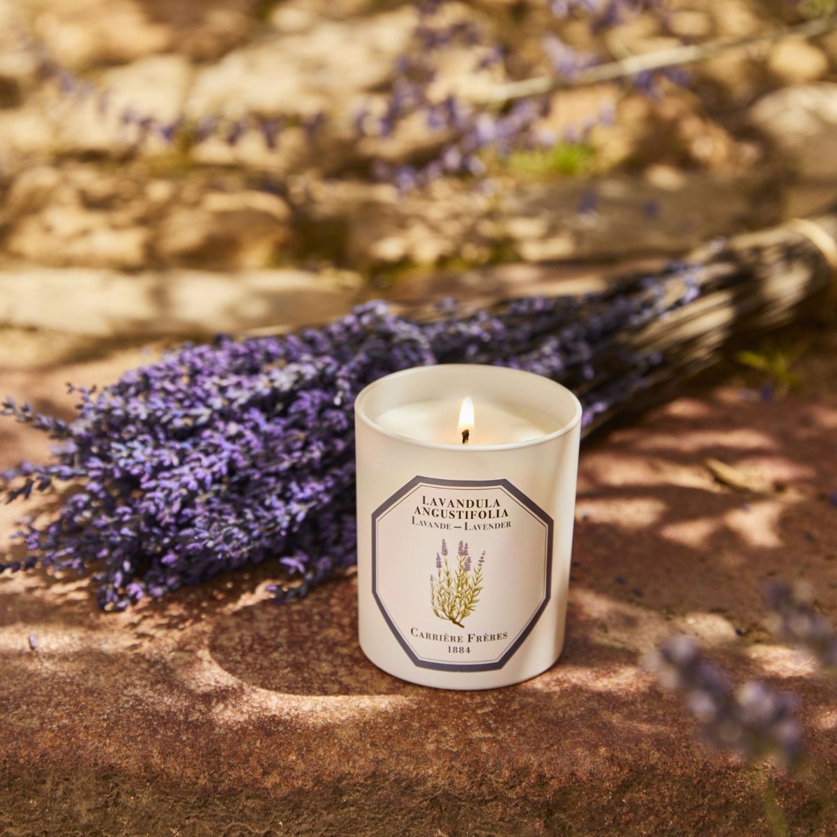 Carriere Freres Candle Lavender