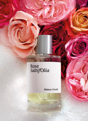 Maison Crivelli Rose Saltifolia