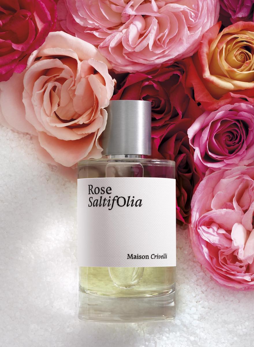 Maison Crivelli Rose Saltifolia